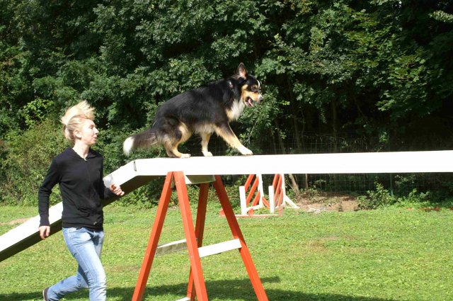 agility 2011-07-24
